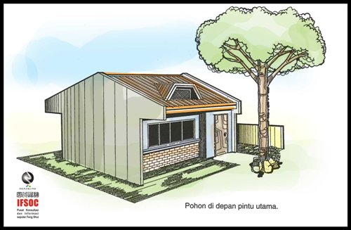 fengshui pohon rumah